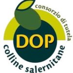 olio dop colline salernitane